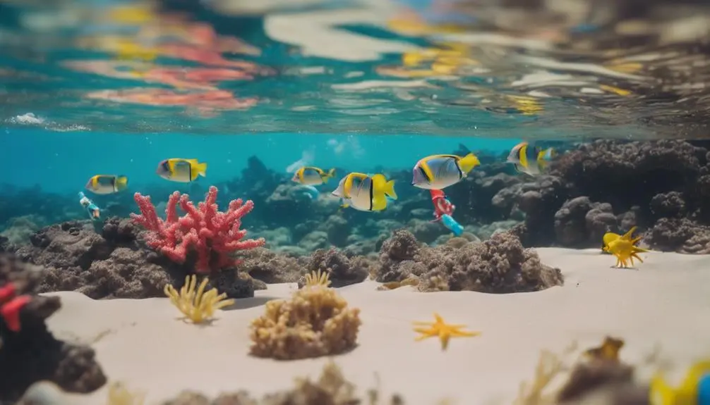 snorkeling gear for beginners