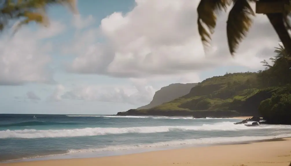 specializing in immigration law