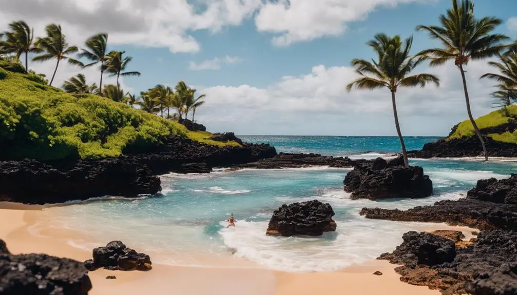 sunny beach in hawaii