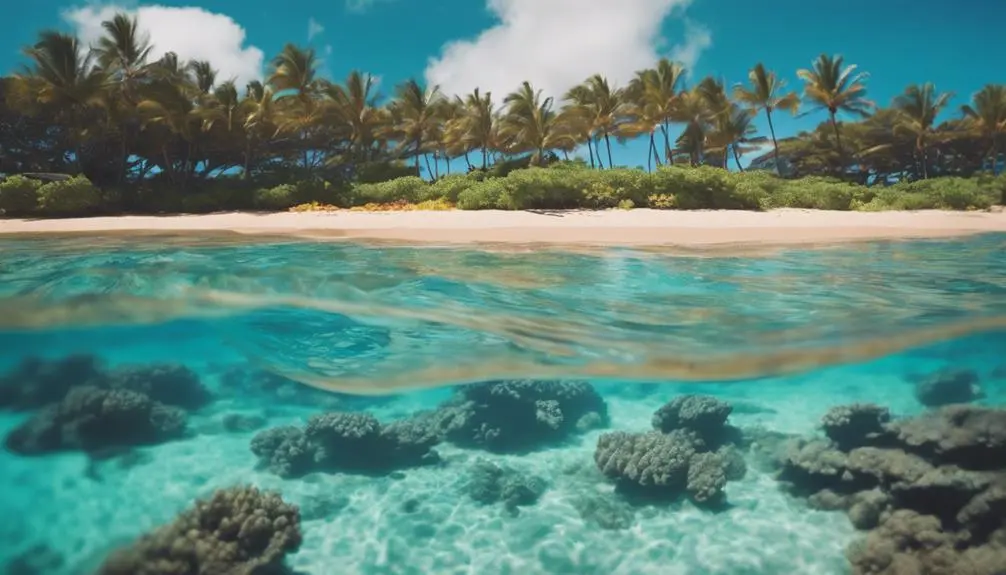 sunny beach in hawaii