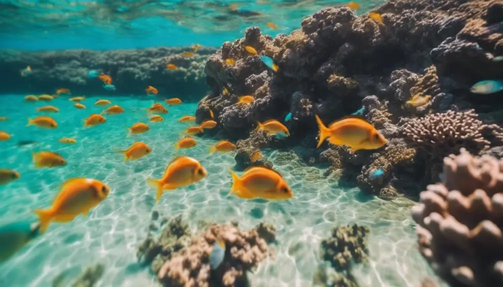 sunny kauai beach destination