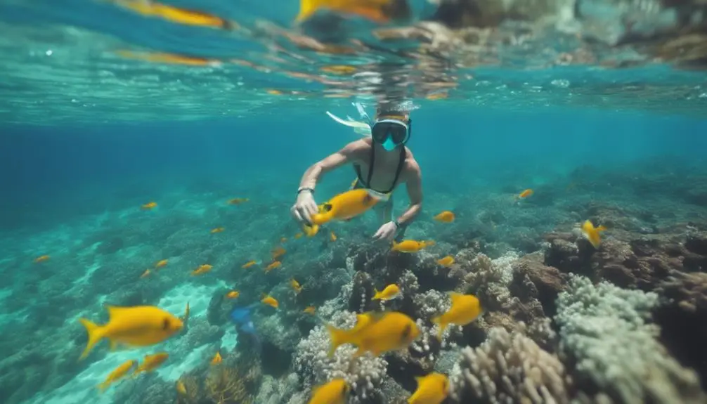 top snorkels for kauai