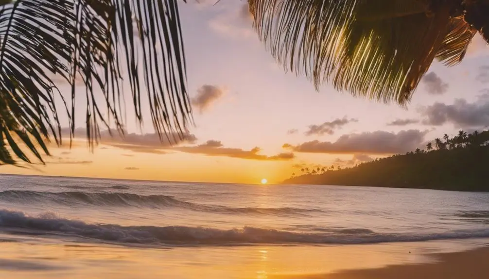 ultimate frisbee fun in kauai