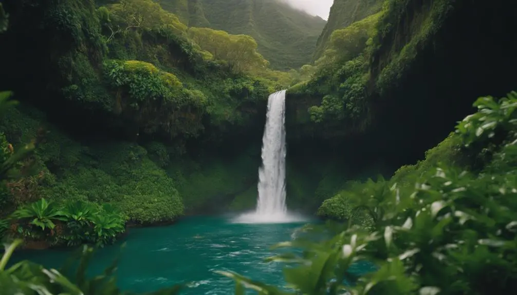 waimea canyon hiking excursion