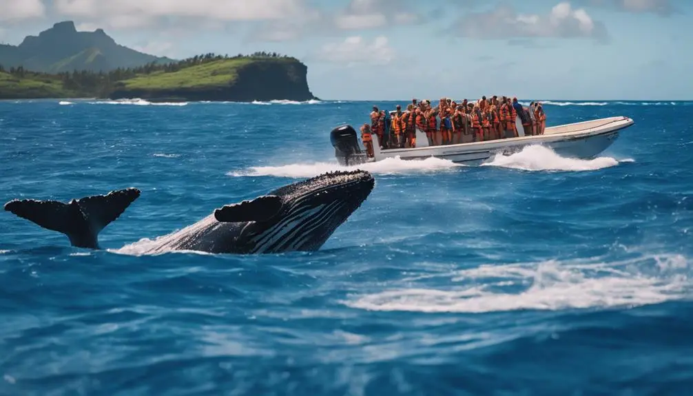 affordable kauai whale watching