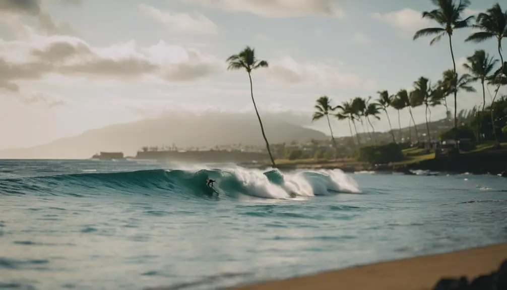kalapaki beach surf consistency