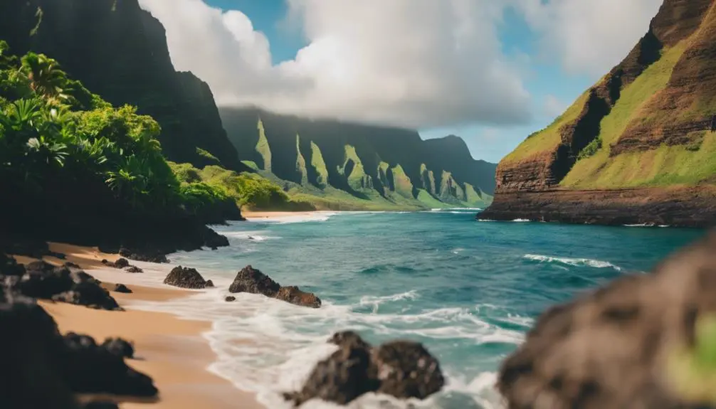 optimal whale watching spots