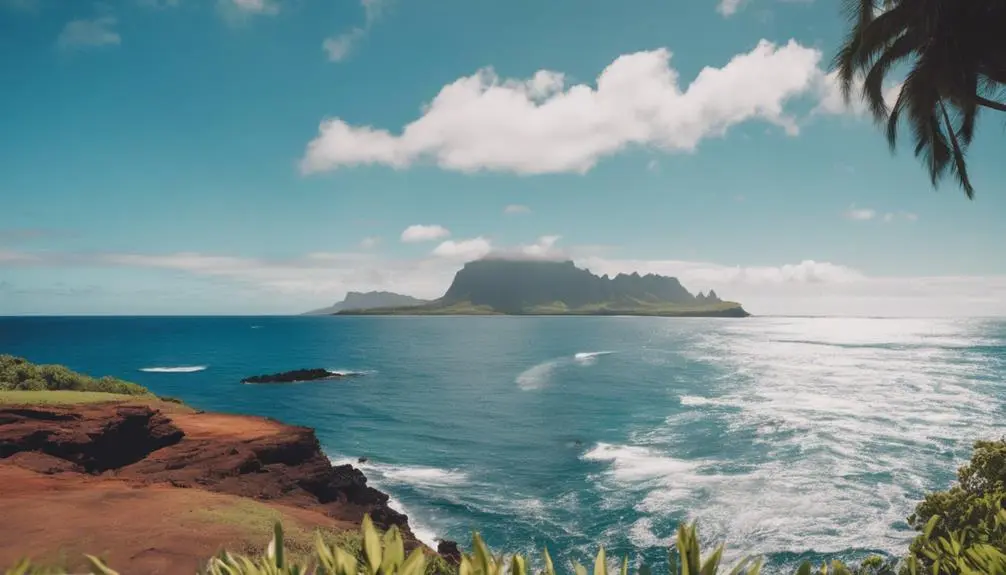 optimal whale watching weather