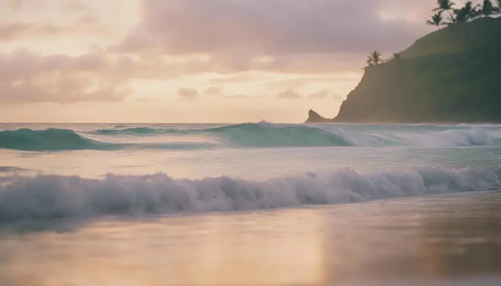 prime whale watching season