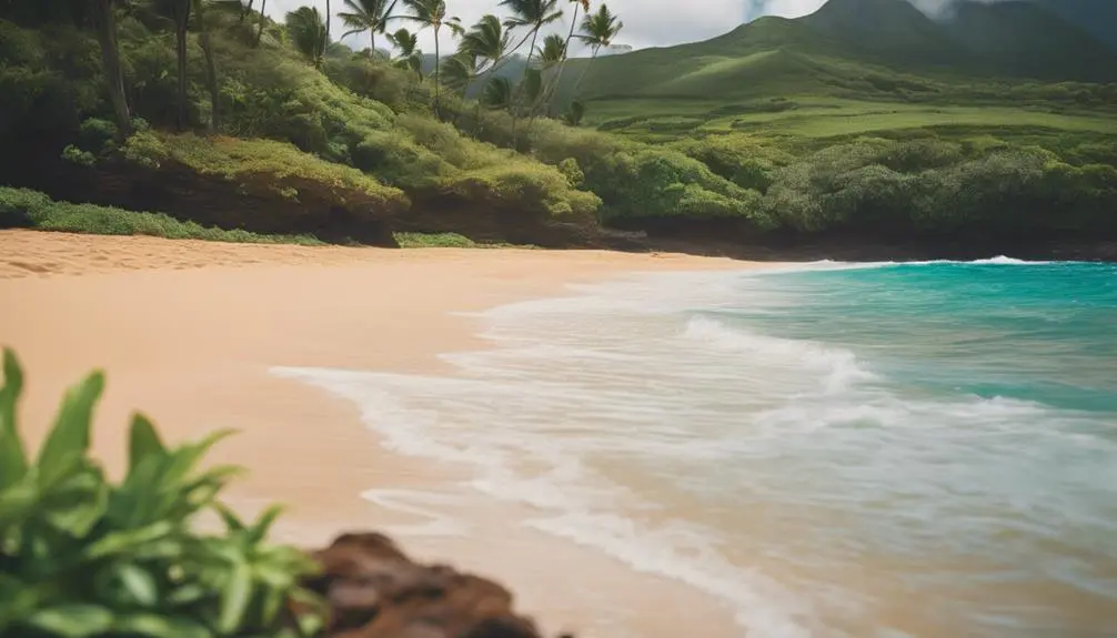 remote beach paradise hawaii