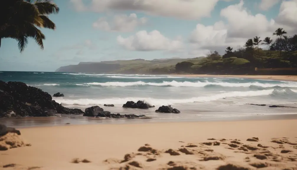 sandy beach in hawaii