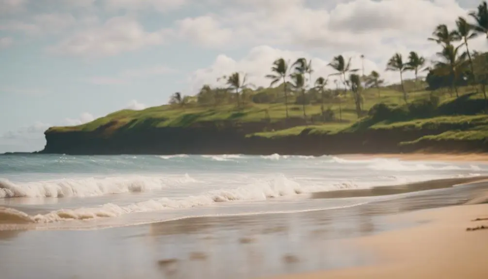 sandy shores and waves