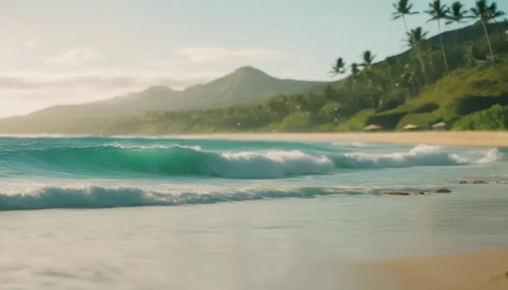 sunny beach in hawaii