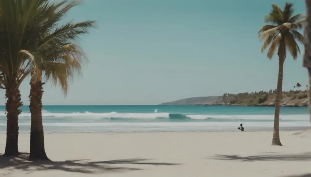 sunny beach in hawaii