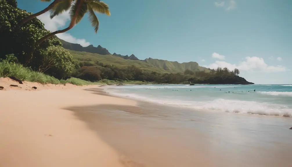 sunny beach in hawaii
