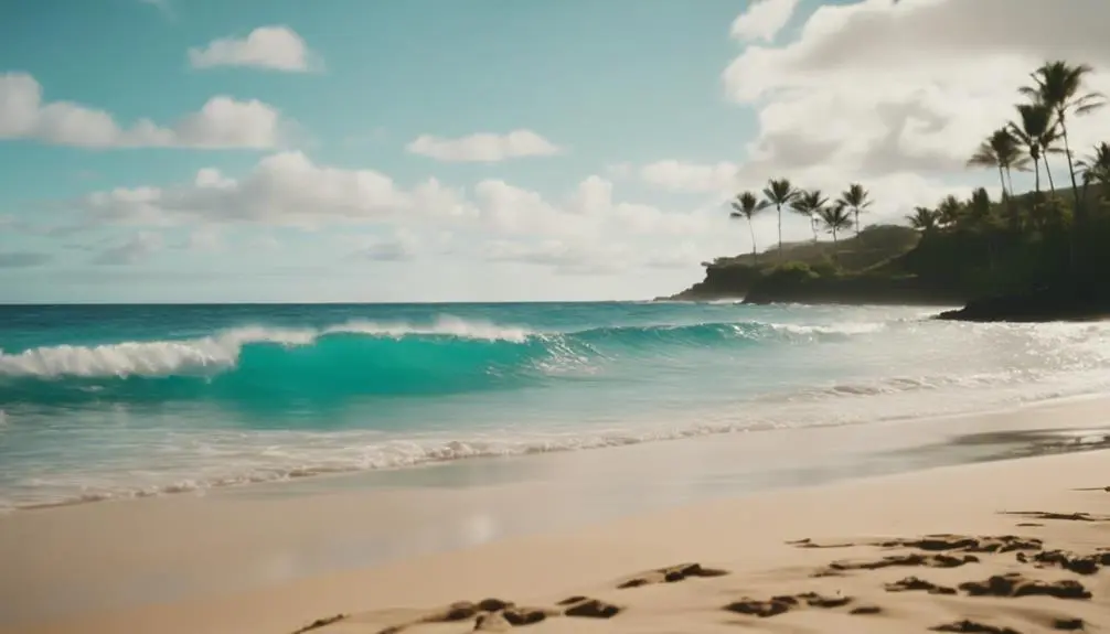 sunny beach in hawaii