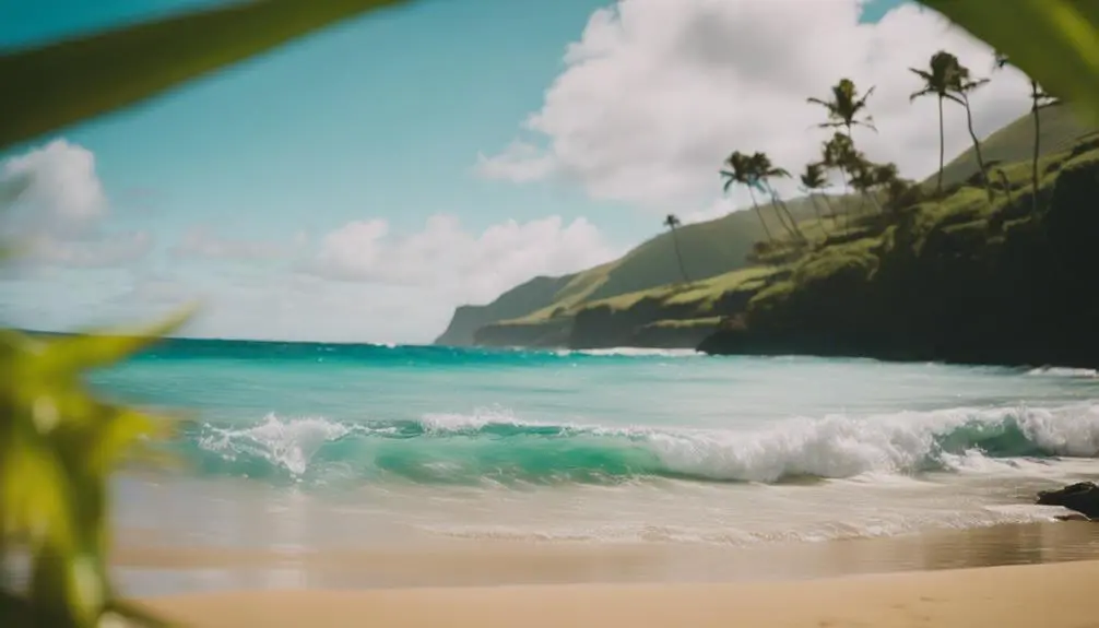 tranquil beach in hawaii